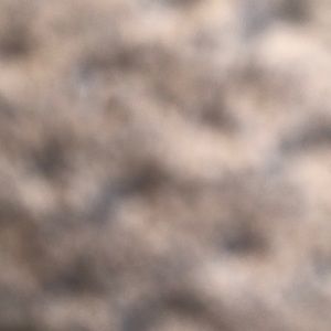 Meet your Posher, Evan